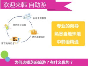 专业韩语翻译服务 覆盖首尔与釜山，商务与普通场景高效对接